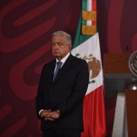 AMLO quiere que no haya "borregos" ni "mapaches" en elección de Morena