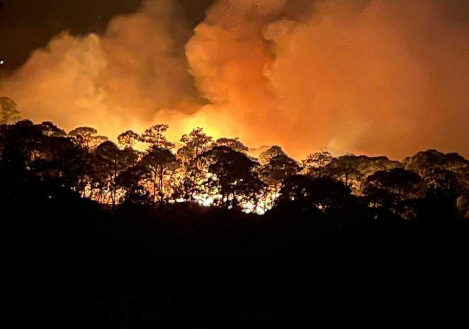 Incendio forestal