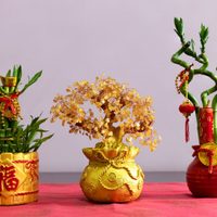 4 plantas que cambiarán tu fortuna este 2021