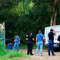 Reportan siete ejecutados en las últimas 48 horas en Veracruz