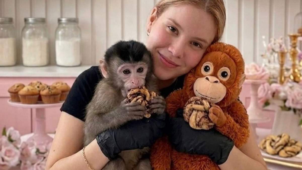 Localizan con vida a influencer repostera Carmiña Castro reportada como desaparecida en Culiacán; autoridades mantienen investigación abierta.