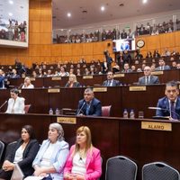 Diputados del MPN manifestaron su repudio a "las extorsivas declaraciones del presidente"