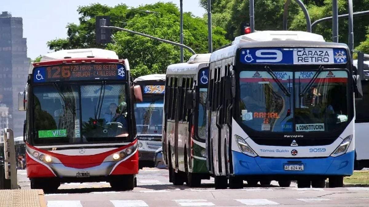 Colectivos.Fuente: (Instagram)