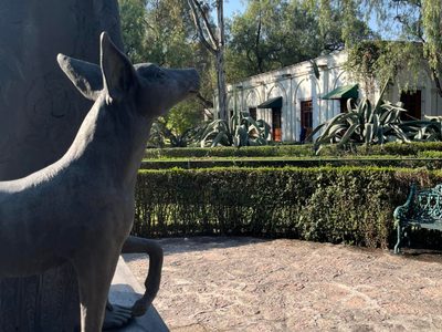 Analizan el fideicomiso del Museo Dolores Olmedo; “cambiar de fiduciaria fue irregularidad”