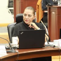 Guadalupe Taddei rechaza la posibilidad de un “golpe de estado técnico”, como afirma AMLO