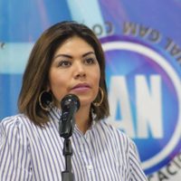 Panista presenta iniciativa para crear Ley de los Derechos de la Persona no Nacida