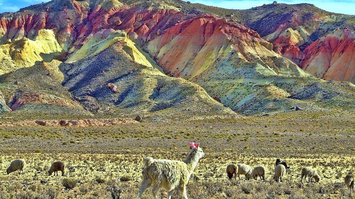 Se abre el turismo en Jujuy para jujeños. Fuente: (Twitter)
