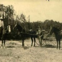 Entre médanos y jarillas: historias, testimonios y anécdotas de pioneros de Plottier