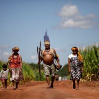 Atroz invasión a tierras indígenas durante el primer año del gobierno de Bolsonaro, según informe