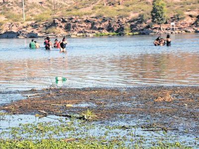 ¡Para el próximo verano! La sorpresiva noticia que se vendrá en Cipolletti