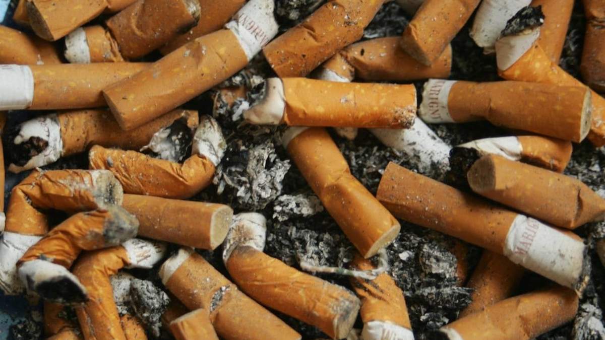 Cigarros de tabaco