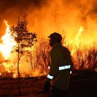 El país bajo fuego: hay 11 provincias con incendios activos