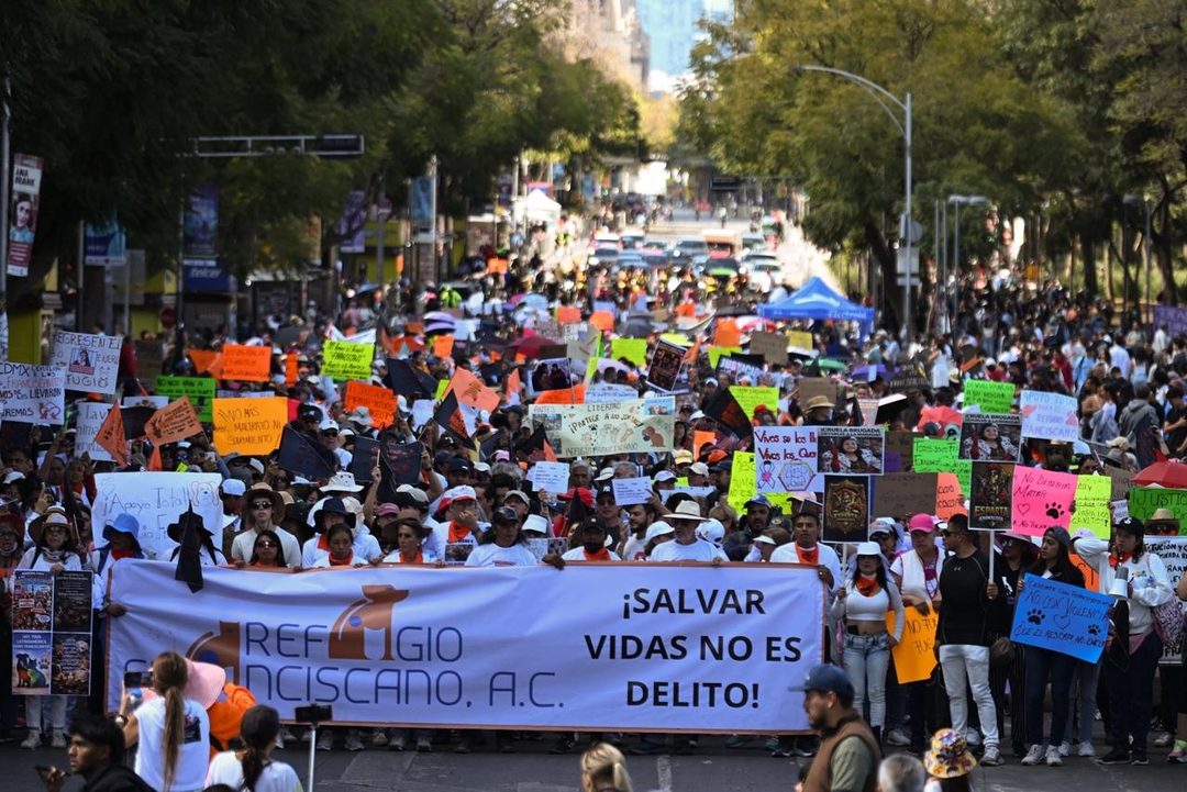 marcha3