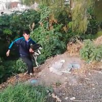 “¿Qué te hizo para que lo avientes?”: Increpan a sujeto que ató a su perro y lo tiró a río en Edomex