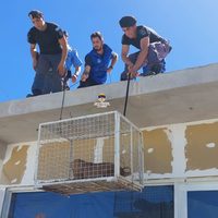 En allanamiento policial rescatan perros en estado de desnutrición y deshidratación
