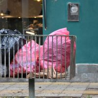 La Municipalidad de Neuquén confirmó que habrá recolección de residuos y barrido en el feriado