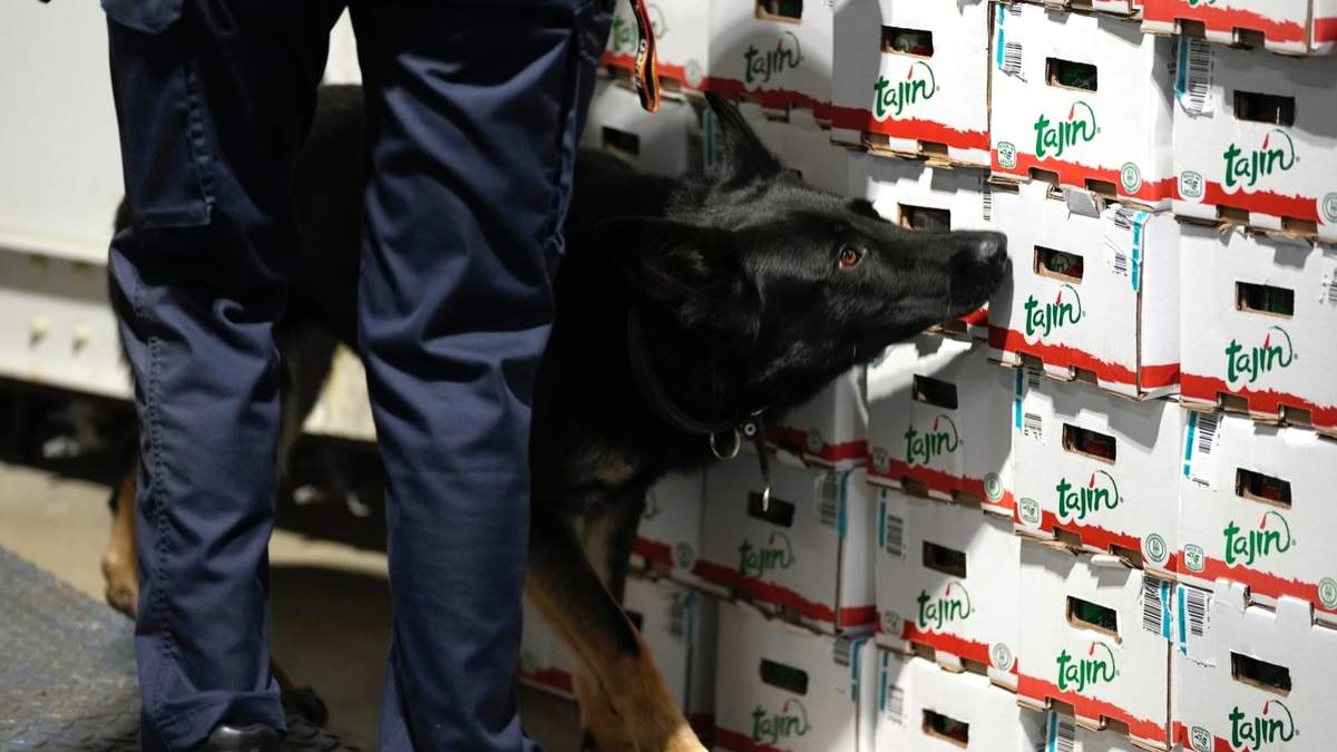Aumentan decomisos de droga en Amberes