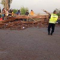 El viento “tiró” más de 300 árboles en Mendoza