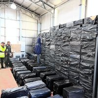 Golpe al contrabando: incautaron 192.500 atados de cigarrillos en el Paso Pino Hachado