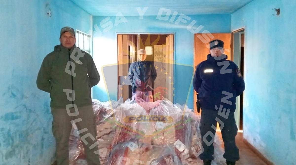 El procedimiento ocurrió en el puesto rutero Pata Mora. Fuente (Policía de Neuquén)