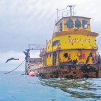 Las Grutas: hundieron un barco para agrandar el Parque Submarino "Don Félix"