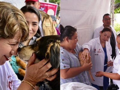 Edomex integrará un fondo para la protección de animales