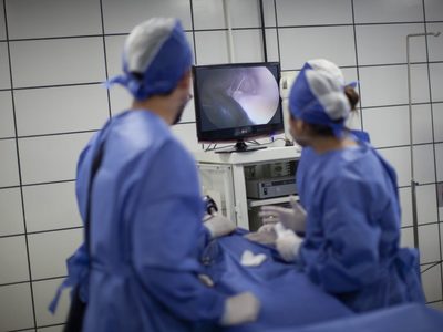 El mundo digital en el que vivimos