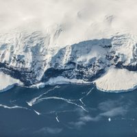 Alerta en la Antártida: colapsó una plataforma de hielo del tamaño de Roma