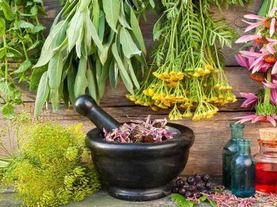 5 plantas que tenés en tu casa y que pueden ayudarte a superar todo tipo de emociones negativas