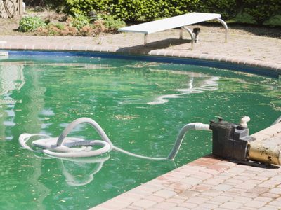 Si el agua de tu pileta se pone verde, descubrí este truco sencillo para tenerla siempre limpia y transparente sin hacer nada