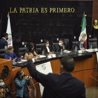 Senado pide preservar campo mexicano ante importación de papa estadunidense