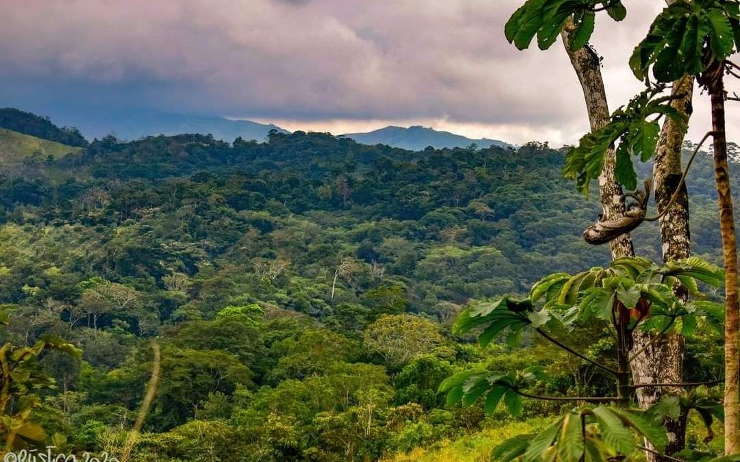 Los Chimalapas