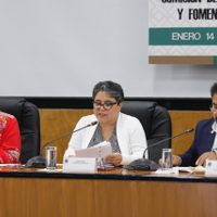 Raquel Buenrostro descarta promover terrorismo fiscal en el SAT