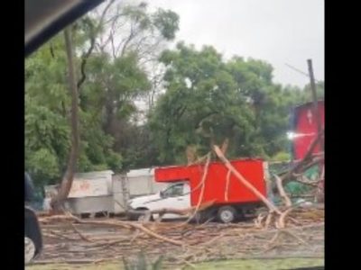 Lluvias en CDMX provocan caída de árboles, encharcamientos y un incendio en Cerro de la Estrella