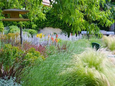 La forma correcta que recomiendan los jardineros para mantener tus gramíneas radiantes este verano