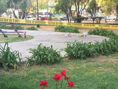 Paseo de perros termina en tragedia: Joven murió degollado y tres personas resultaron heridas en Coy