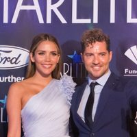 En plena cuarentena, David Bisbal y Rosanna Zanetti develaron parte de su intimidad