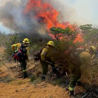 Incendios en Chubut: brigadistas de Buenos Aires hablaron sobre la compleja situación en la Patagonia
