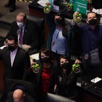Comisión del Senado recibe anteproyecto de reforma que legaliza el cannabis