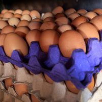 Linda y útil: con el maple de huevos que ibas a tirar, hacé la bandeja más chic para tu cocina