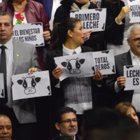 Aprueban ley para dar certeza en productos lácteos