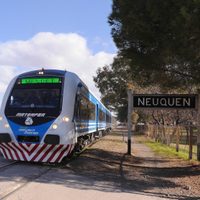 Tras un descarrilamiento, por unos días no habrá servicio de pasajeros en el Tren del Valle