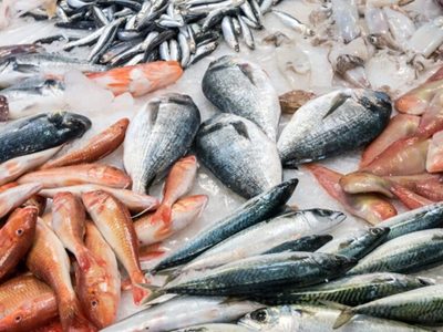 Ayuda social: realizarán un “pescadazo” frente al Congreso
