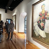 Tras seis años cerrado, el Museo Dolores Olmedo reabrirá este sábado