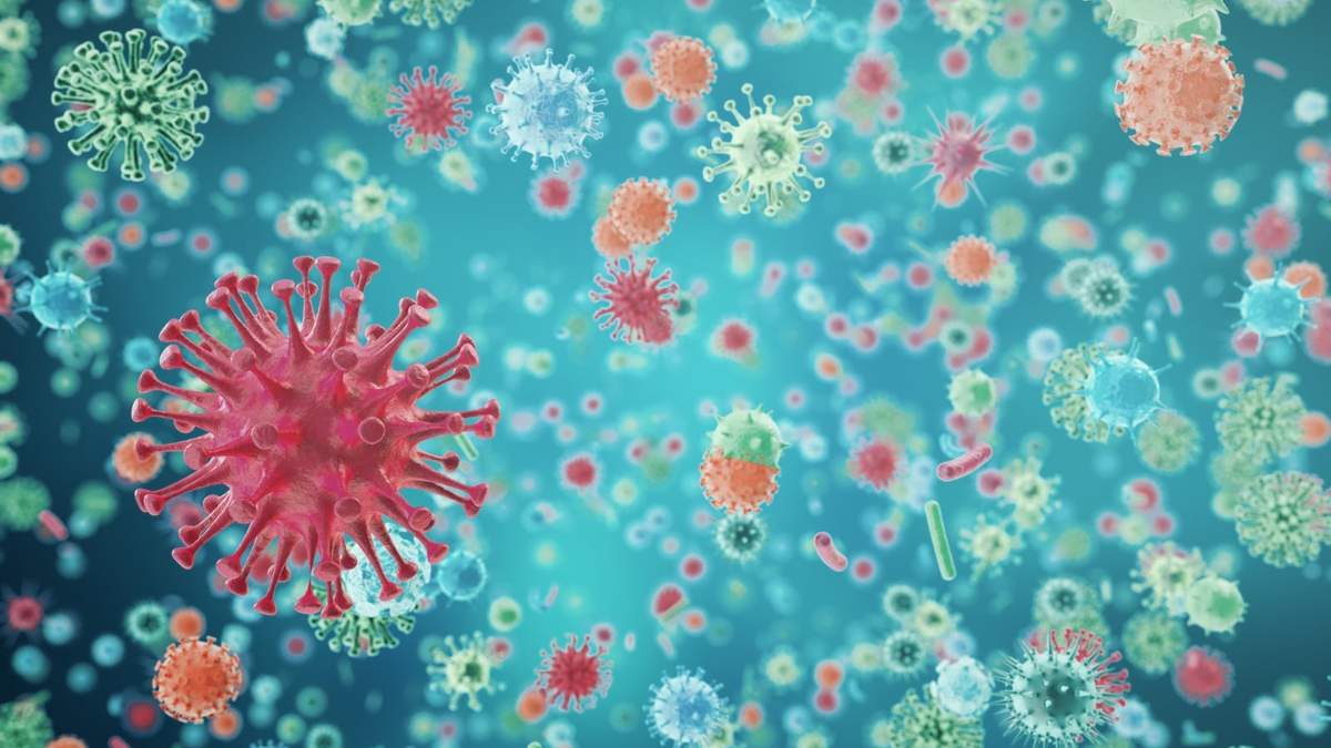 Distintas cepas del nuevo coronavirus. Fuente: (Twitter)