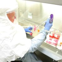 Esperanza: laboratorios comenzaron a administrar las primeras vacunas contra el coronavirus