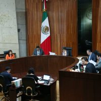 El TEPJF rechaza la impugnación del PT que buscaba obtener diputaciones plurinominales