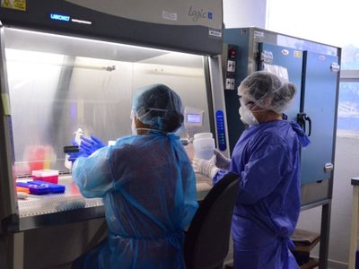 Hungría registra más de 10 mil nuevos casos de covid-19, por primera vez desde marzo