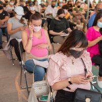 La explotación reproductiva en México: el paraíso del tráfico humano