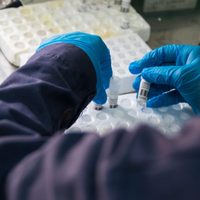Coronavirus: desciende la circulación viral en Neuquén Capital